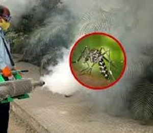 Mosquito Control Services in Nagpur