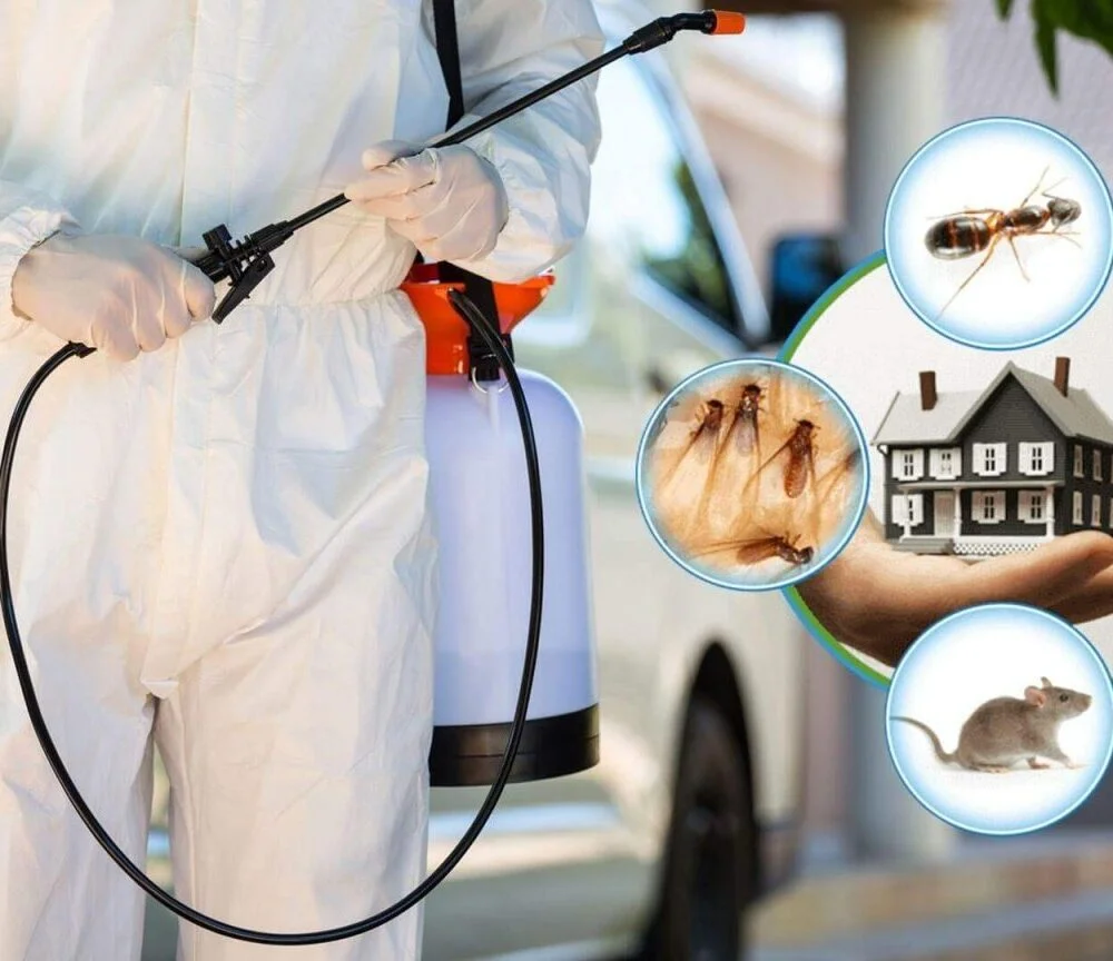 Termite Control Services in Nagpur